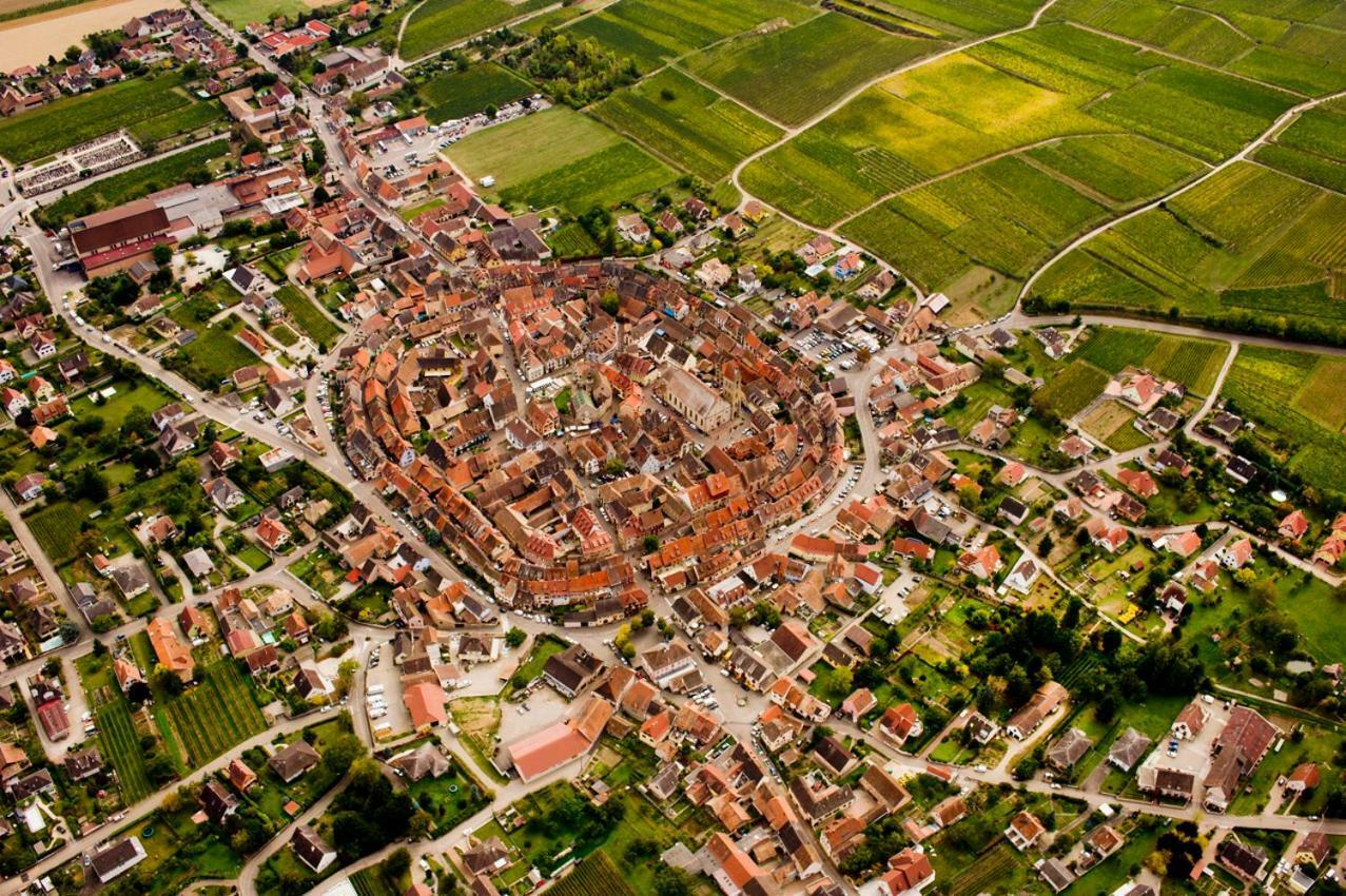 Gite Edelweiss A Eguisheim Exterior foto