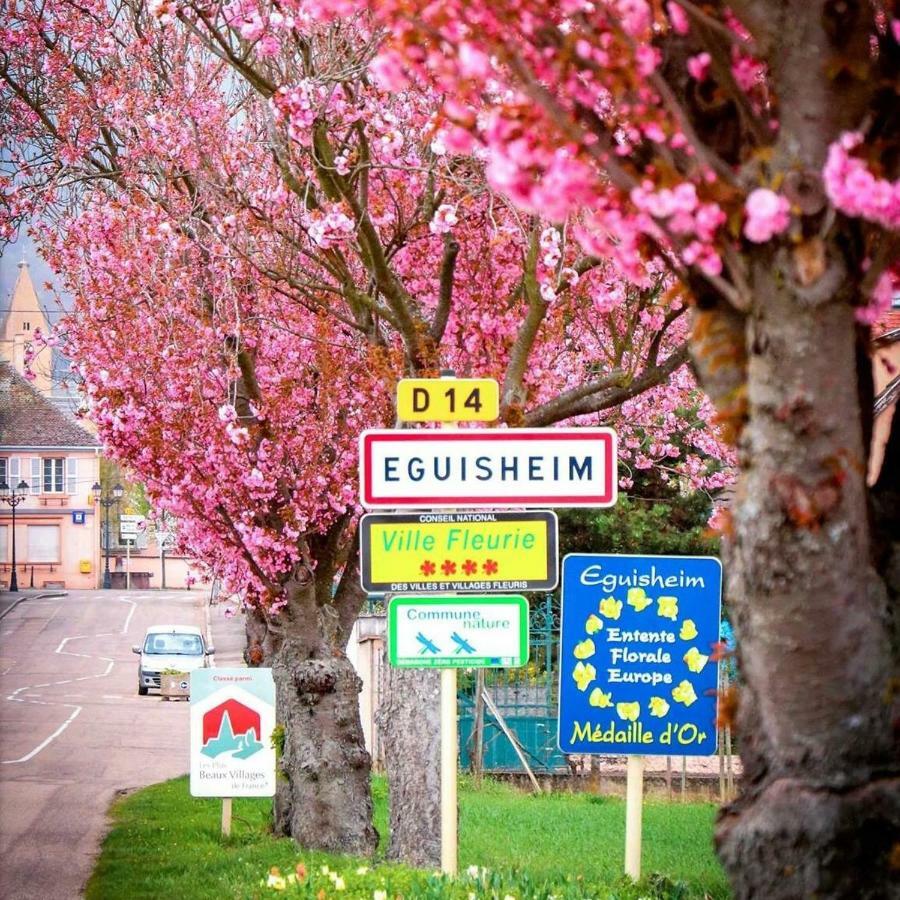 Gite Edelweiss A Eguisheim Exterior foto